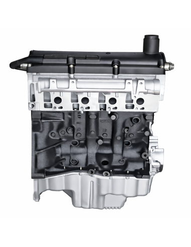 Motore rigenerato Renault 1.5 dCi K9K C612 – Garantito 12 mesi | Erreparts