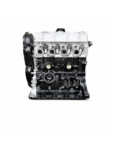 Motore nuovo Suzuki F10A – Compatibile SJ410 e Santana | Erreparts