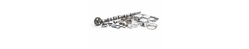 Ricambi Motore Automotive – Componenti Selezionati